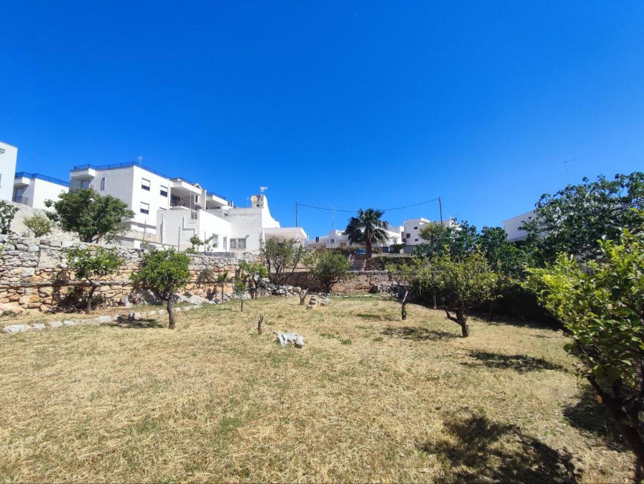 Oasi Apartamento Polignano a Mare Exterior foto