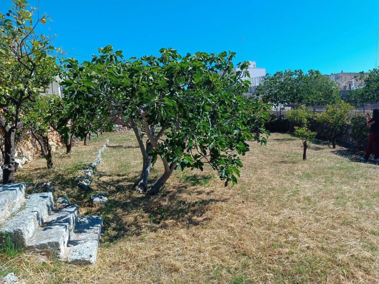 Oasi Apartamento Polignano a Mare Exterior foto